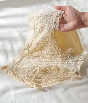 Premium Antibacterial Panties - 5-Pack Kit [PAY FOR 2, GET 5]